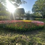 英語が全く話せない人は、いきなりオンライン英会話を始めなくていい？